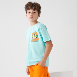 2615117-turquoise-08…